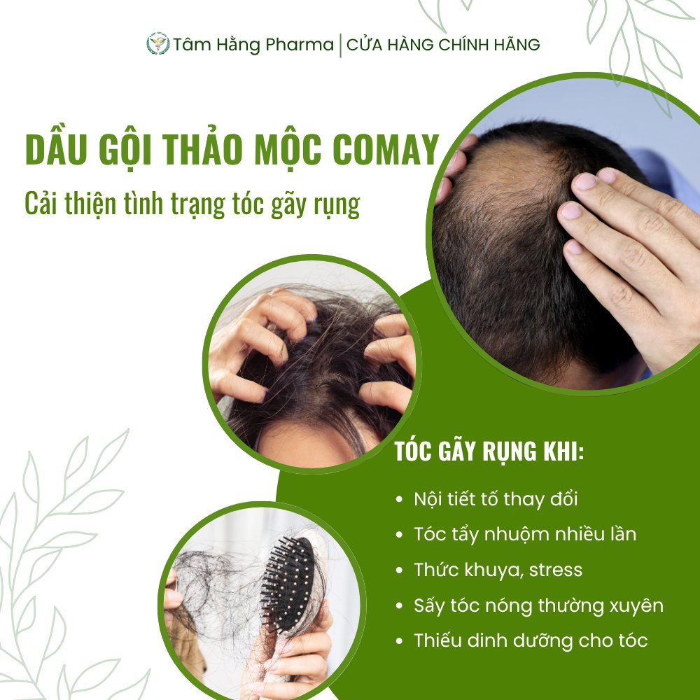 Gia Cong Dau Goi Thao Moc Tai Namephar 3