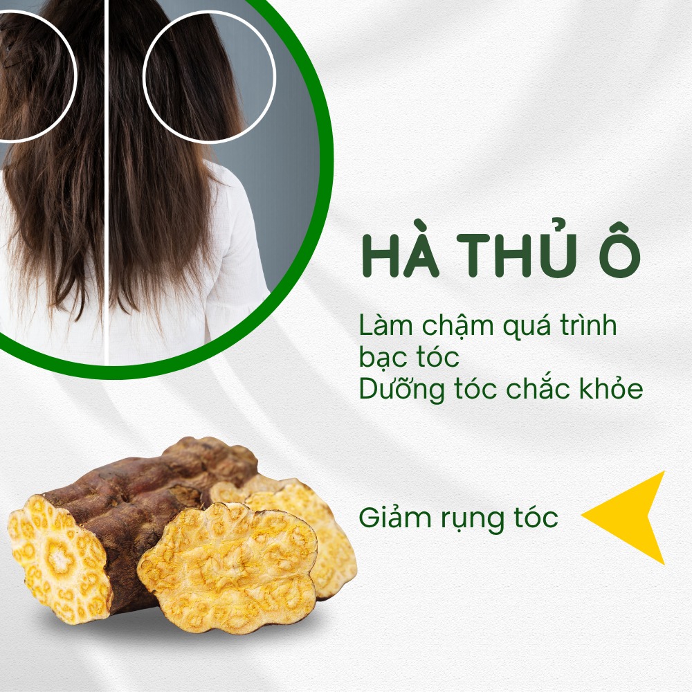 Gia Cong Dau Goi Thao Moc Tai Namephar 4
