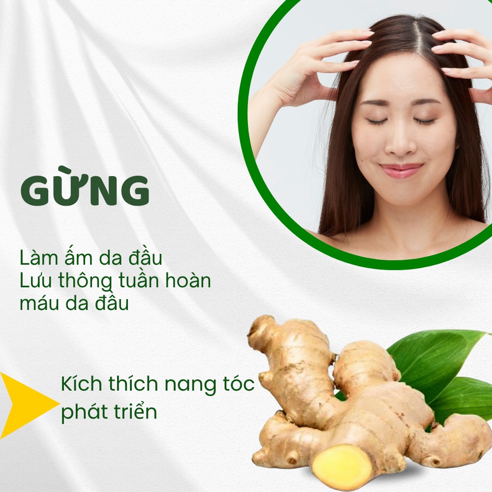 Gia Cong Dau Goi Thao Moc Tai Namephar 7
