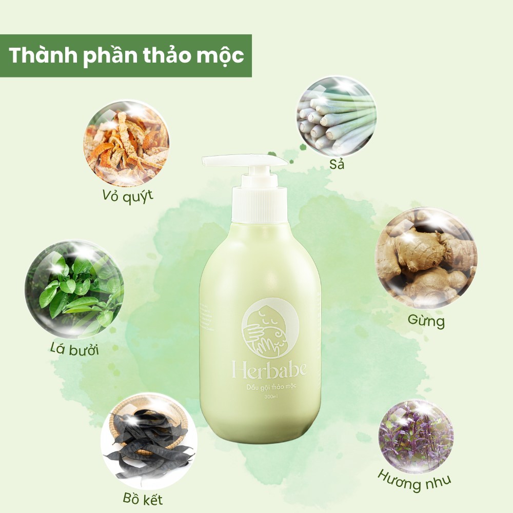 Gia Cong Dau Goi Thao Moc Cho Be 3