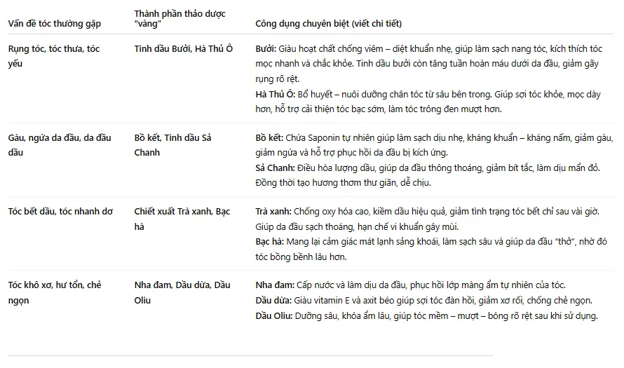 Compressed Dau Goi Thao Duoc La Lua Chon Hang Dau Cua Thuong Hieu Moi 2