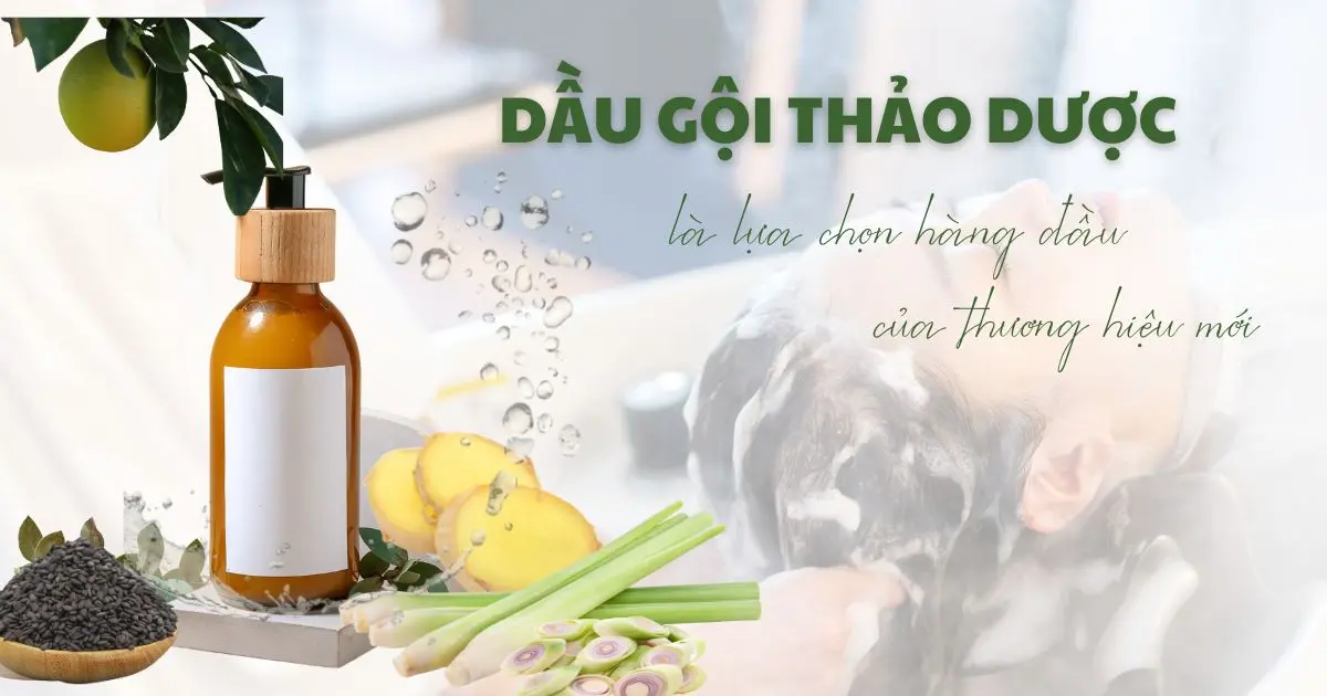 Dau Goi Thao Duoc La Lua Chon Hang Dau Cua Thuong Hieu Moi